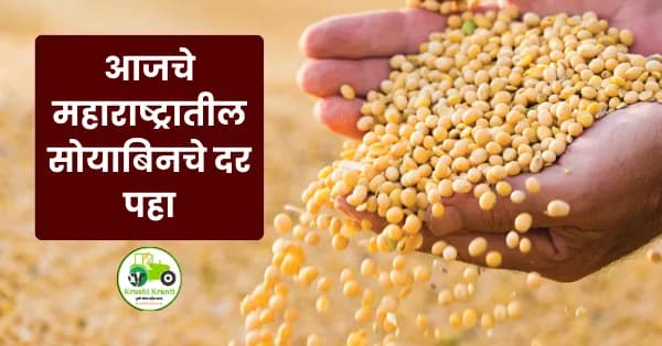 २७ डिसेंबर २०२५ : आजचा सोयाबिन बाजारभाव पहा काय मिळत आहे सोयाबीन लादार