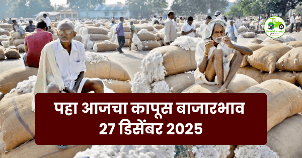कापूस बाजारभाव 27 डिसेंबर 2025 शेतकऱ्यांना दिलासा