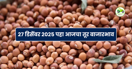 महाराष्ट्र तूर बाजारभाव | 27 डिसेंबर 2025