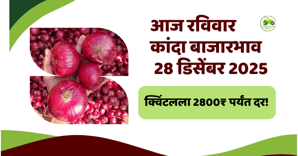 आजचा कांदा बाजारभाव LIVE | 28 डिसेंबर 2025