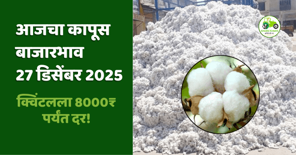 कापूस दर आजचे LIVE | 27-12-2025 | महाराष्ट्र Cotton Rates