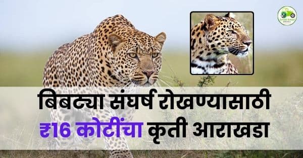 नाशिकमध्ये बिबट्या–मानव संघर्ष रोखण्यासाठी ₹16 कोटींचा कृती आराखडा