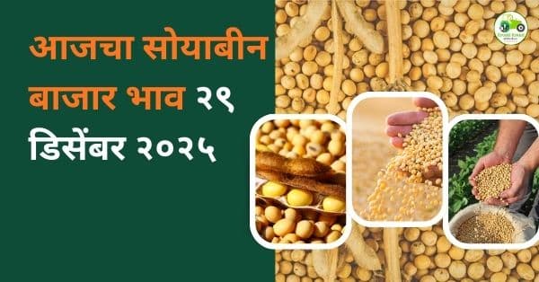 आजचा सोयाबीन बाजारभाव | 29 डिसेंबर 2025 | महाराष्ट्र सोयाबीन दर अपडेट