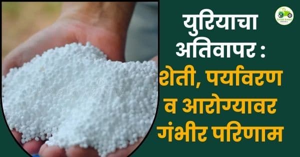 युरियाचा अतिवापर : शेती, पर्यावरण आणि मानवी आरोग्यावर वाढता धोका