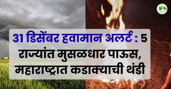 31 डिसेंबर हवामान अलर्ट : 5 राज्यांत मुसळधार पाऊस, महाराष्ट्रात कडाक्याची थंडी