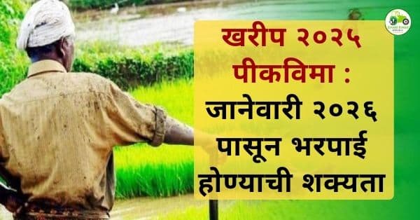 खरीप २०२५ पीकविमा : जानेवारी २०२६ अखेरपासून भरपाई जमा होण्याची शक्यता