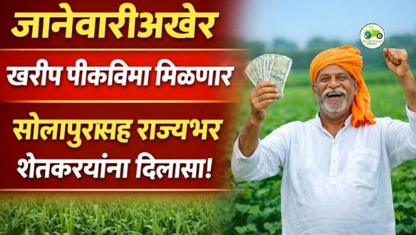 जानेवारीअखेर शेतकऱ्यांच्या खात्यात खरीप पीकविमा | सोलापूरसह राज्यभर दिलासा