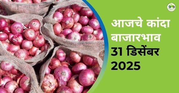 आजचे कांदा बाजारभाव 31 डिसेंबर 2025 | महाराष्ट्रातील सर्व बाजार दर