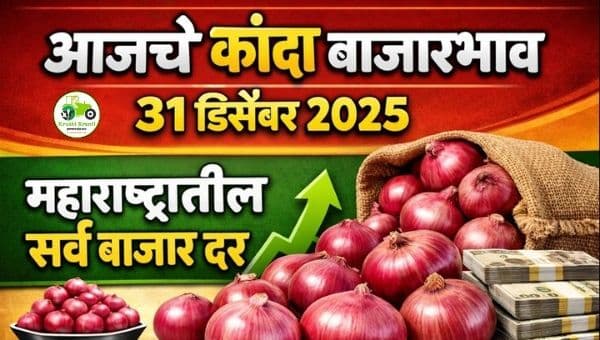 आजचे कांदा बाजारभाव 31 डिसेंबर 2025 | महाराष्ट्रातील सर्व बाजार दर