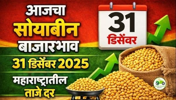 आजचा सोयाबीन बाजारभाव | 31 डिसेंबर 2025 | महाराष्ट्रातील ताजे दर