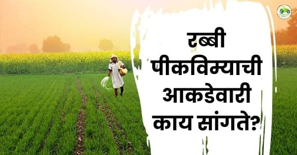 लातूर रब्बी पीकविमा : शेतकऱ्यांचा प्रतिसाद का घटला? | PMFBY विश्लेषण