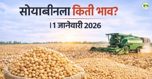 सोयाबीन बाजारभाव आज | 1 जानेवारी 2026 | महाराष्ट्रातील प्रमुख बाजार समित्यांचे दर