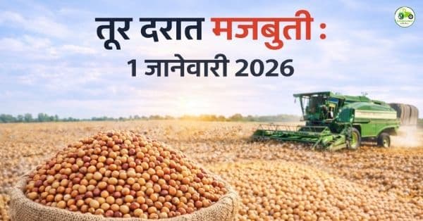 तूर बाजारभाव आज | 1 जानेवारी 2026 | महाराष्ट्रातील प्रमुख बाजार समित्यांचे दर