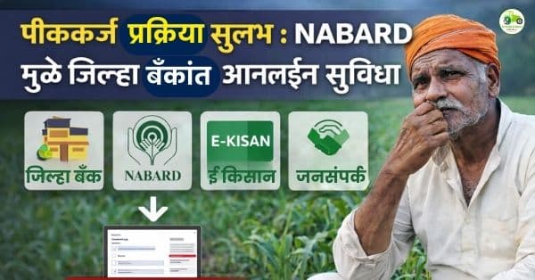 जिल्हा सहकारी बँकांतूनही मोफत ऑनलाईन पीककर्ज | NABARD चा मोठा निर्णय