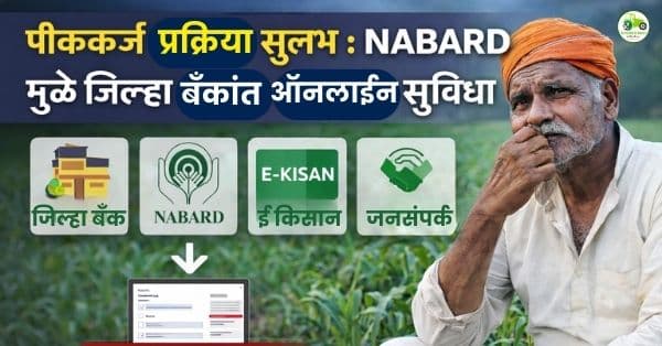 जिल्हा सहकारी बँकांतूनही मोफत ऑनलाईन पीककर्ज | NABARD चा मोठा निर्णय