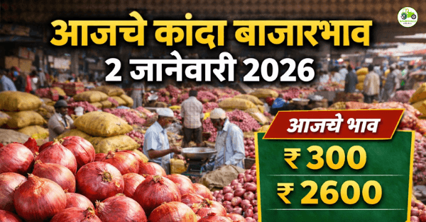 आजचे कांदा बाजारभाव 2 जानेवारी 2026 | महाराष्ट्रातील कांदा दर