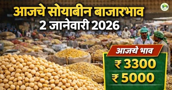 आजचे सोयाबीन बाजारभाव 2 जानेवारी 2026 | महाराष्ट्रातील सोयाबीन दर आज