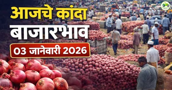 आजचे कांदा बाजारभाव 03 जानेवारी 2026 | महाराष्ट्रातील प्रमुख बाजार दर