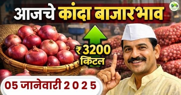 आजचे कांदा बाजारभाव | महाराष्ट्रातील प्रमुख बाजारांचे दर