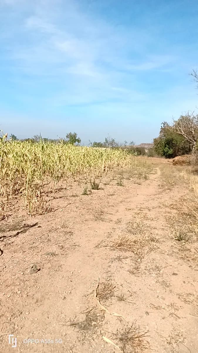 8 एकर शेती विक्रीसाठी उपलब्ध