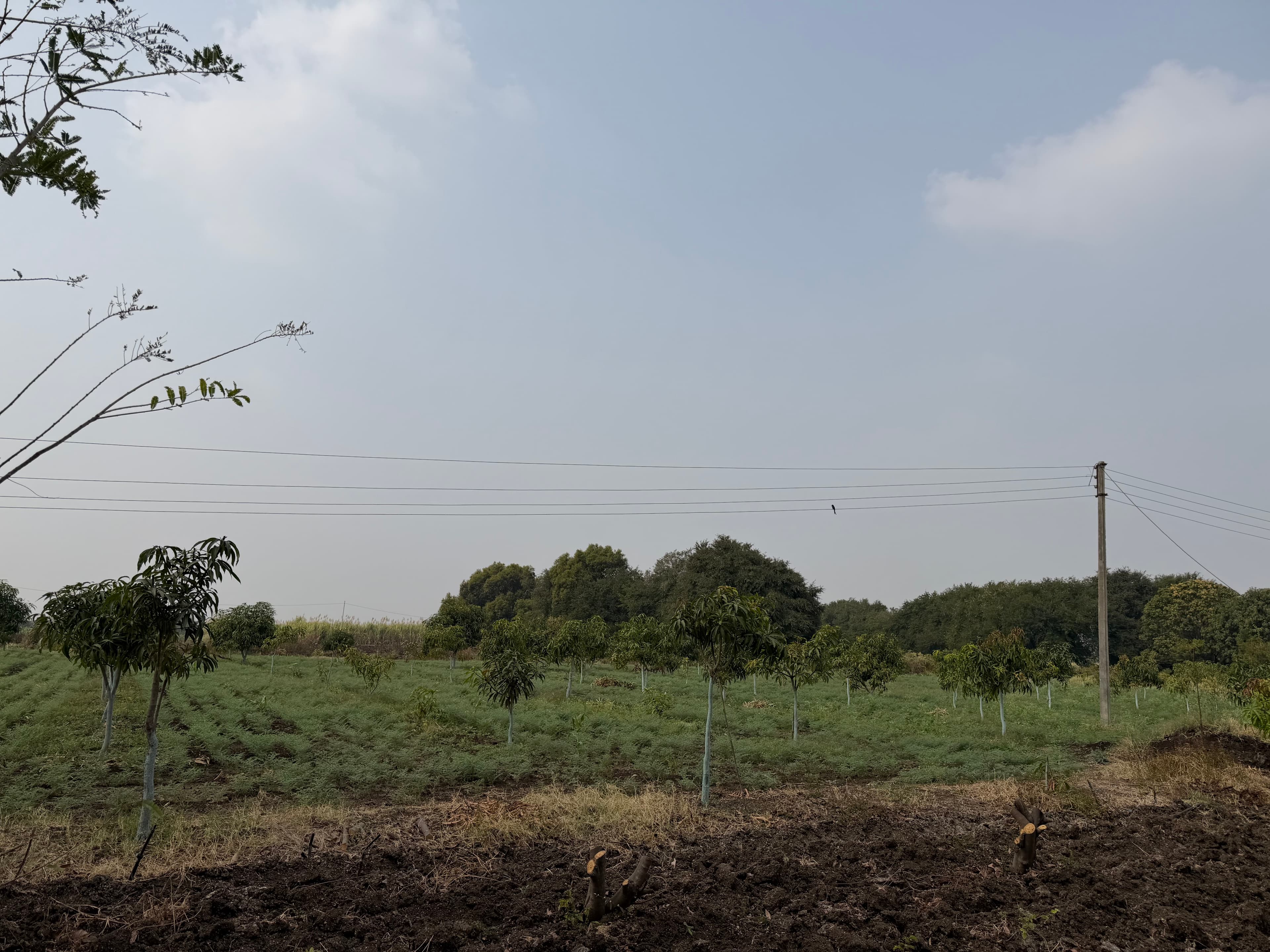 १५ एकर पाण्याची शेती वाट्याने देणे आहे