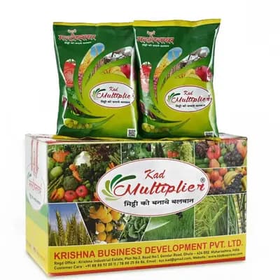 सॉईल मल्टीप्लायर १० किलो