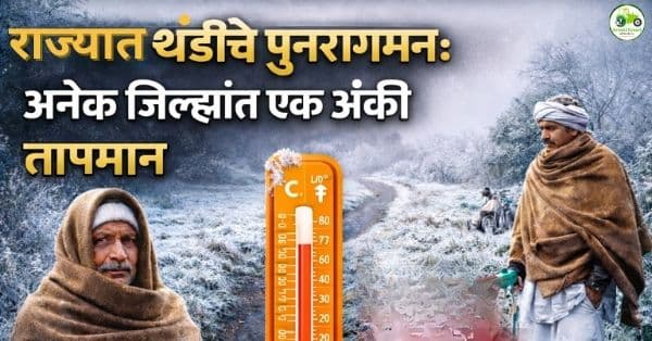 महाराष्ट्रात पुन्हा थंडीचा जोर वाढला | पुणे, विदर्भ व मराठवाड्यात तापमान एक अंकी