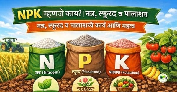NPK म्हणजे काय? | नत्र, स्फुरद व पालाशचे कार्य आणि महत्व