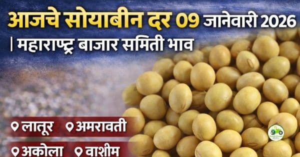 सोयाबीन बाजारभाव 09 जानेवारी 2026 | महाराष्ट्रातील प्रमुख बाजारांतील आजचे दर