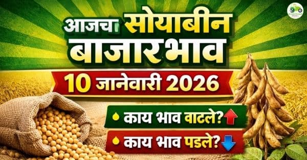 आजचे सोयाबीन बाजारभाव 10 जानेवारी 2026 | महाराष्ट्रातील ताजे दर