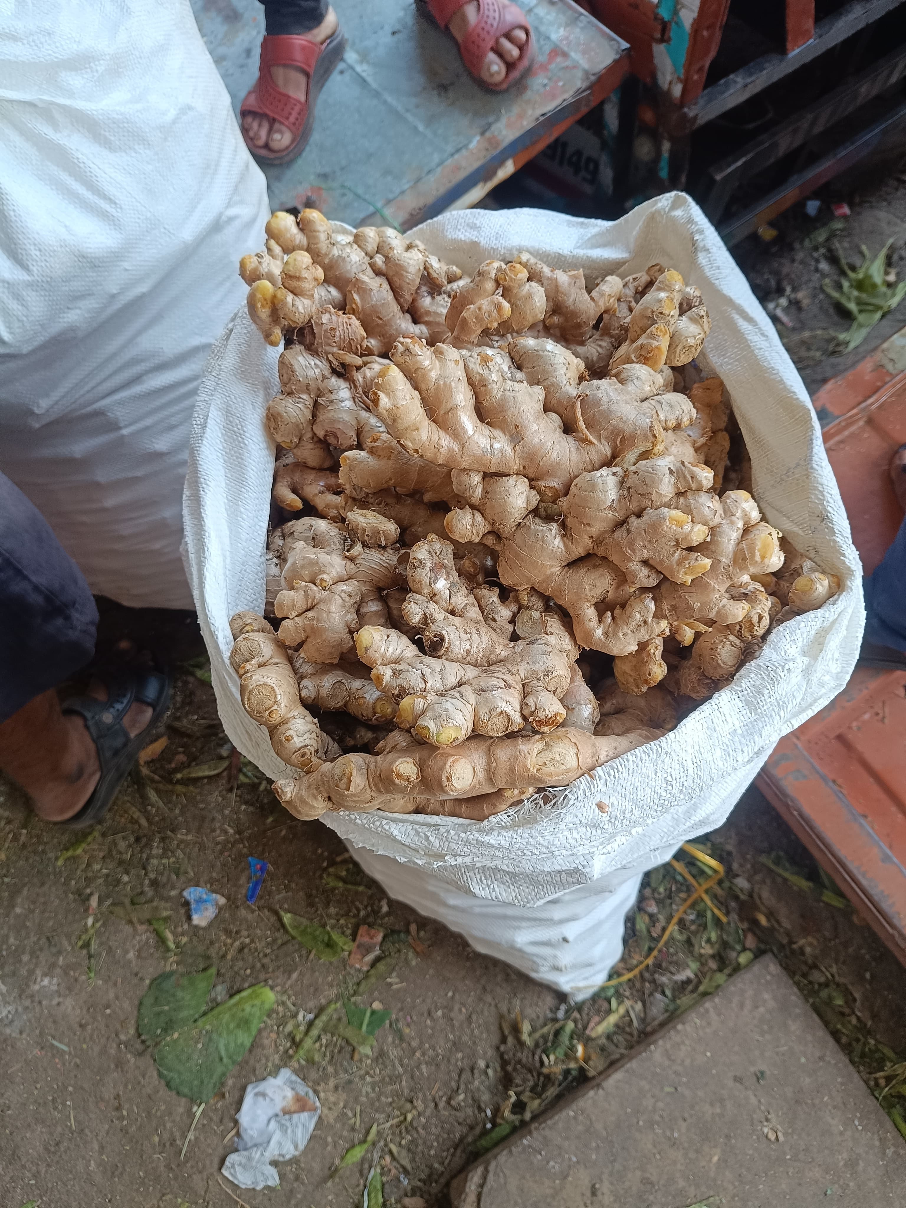 अद्रक विक्रीस उपलब्ध