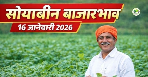 सोयाबीन बाजारभाव आजचा | 16 जानेवारी 2026 | आजचे सोयाबीन दर