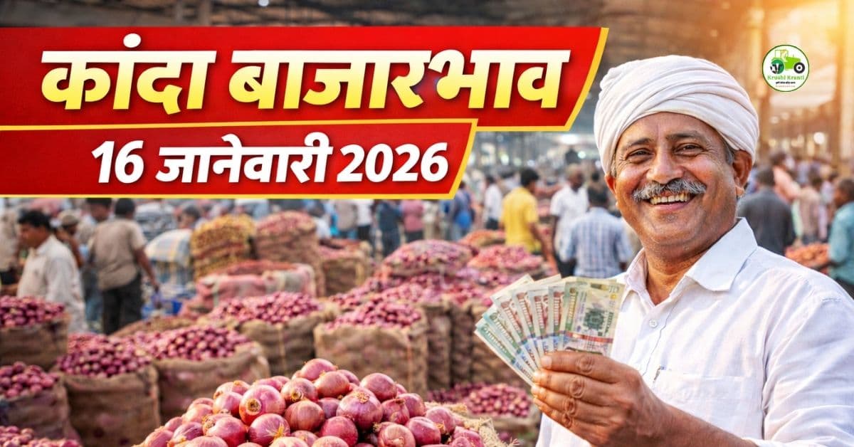 कांदा बाजारभाव आजचा | 16 जानेवारी 2026 | Onion Rate Today Maharashtra