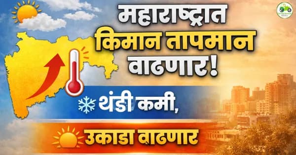 महाराष्ट्रात किमान तापमान २–३ अंशांनी वाढणार! थंडी कमी, दिवसा उकाडा वाढण्याची शक्यता