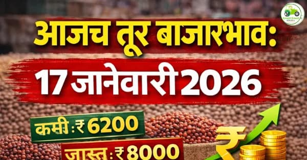 आजचे तूर बाजारभाव 17 जानेवारी 2026 | महाराष्ट्र APMC दर