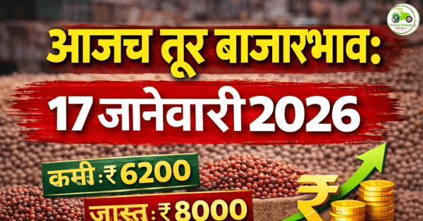 आजचे तूर बाजारभाव 17 जानेवारी 2026 | महाराष्ट्र APMC दर