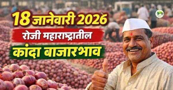 आजचे कांदा बाजारभाव 18 जानेवारी 2026 | महाराष्ट्र बाजार समिती दर व आवक