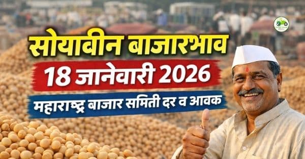 सोयाबीन बाजारभाव 18 जानेवारी 2026 | महाराष्ट्र बाजार समिती दर व आवक