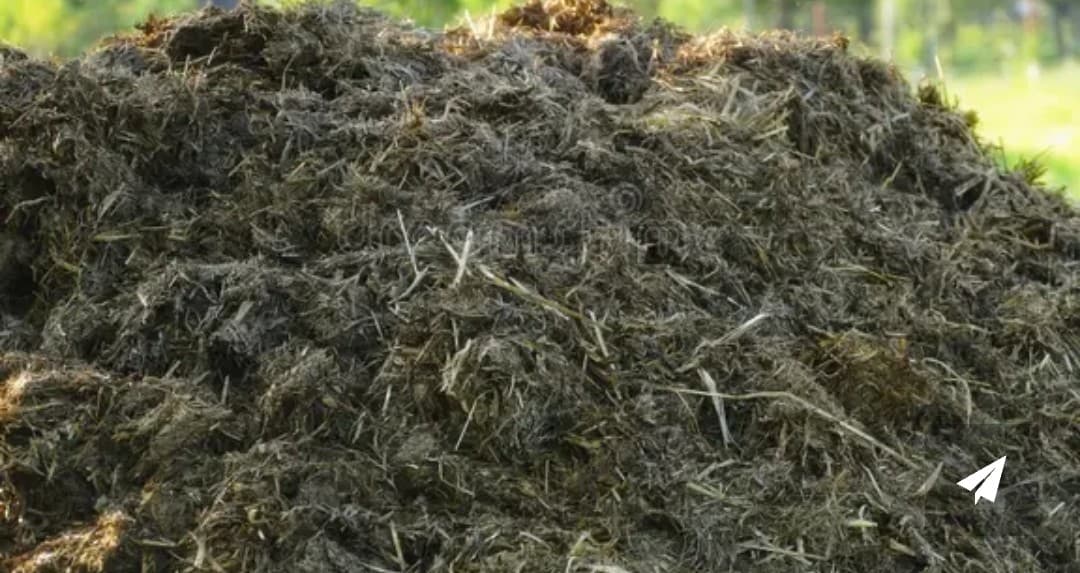 शेण खत विक्रीसाठी उपलब्ध आहे