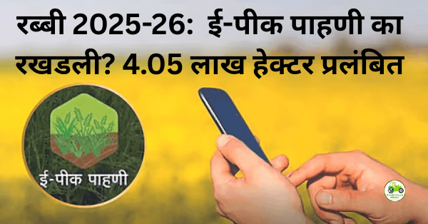 परभणी–हिंगोलीत 4 लाख हेक्टरवर ई-पीक पाहणी बाकी! शेतकऱ्यांसाठी महत्वाची माहिती