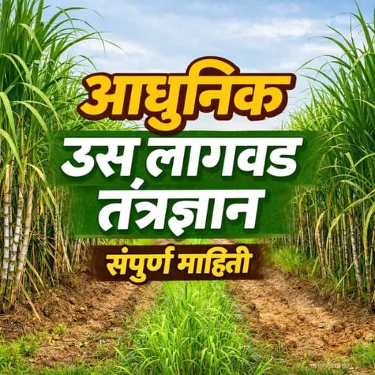 आधुनिक ऊस लागवड तंत्रज्ञान