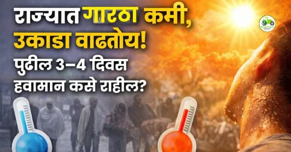 मकर संक्रांतीनंतर थंडी कमी! महाराष्ट्रात किमान तापमान 2–4 अंशांनी वाढणार (हवामान अपडेट 2026)