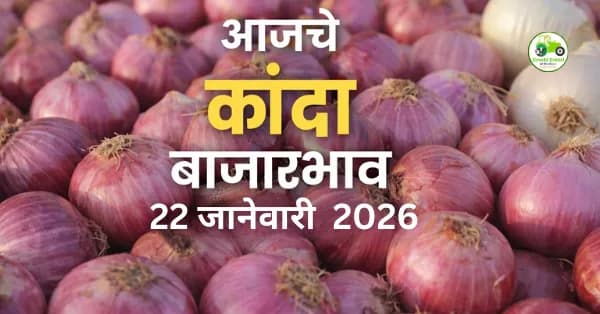 आजचे कांदा बाजारभाव 22 जानेवारी 2026 | महाराष्ट्रातील ताजे दर