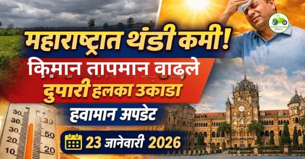 महाराष्ट्रात थंडी कमी! किमान तापमान वाढले; दुपारी हलका उकाडा | हवामान अपडेट (23 जानेवारी 2026)