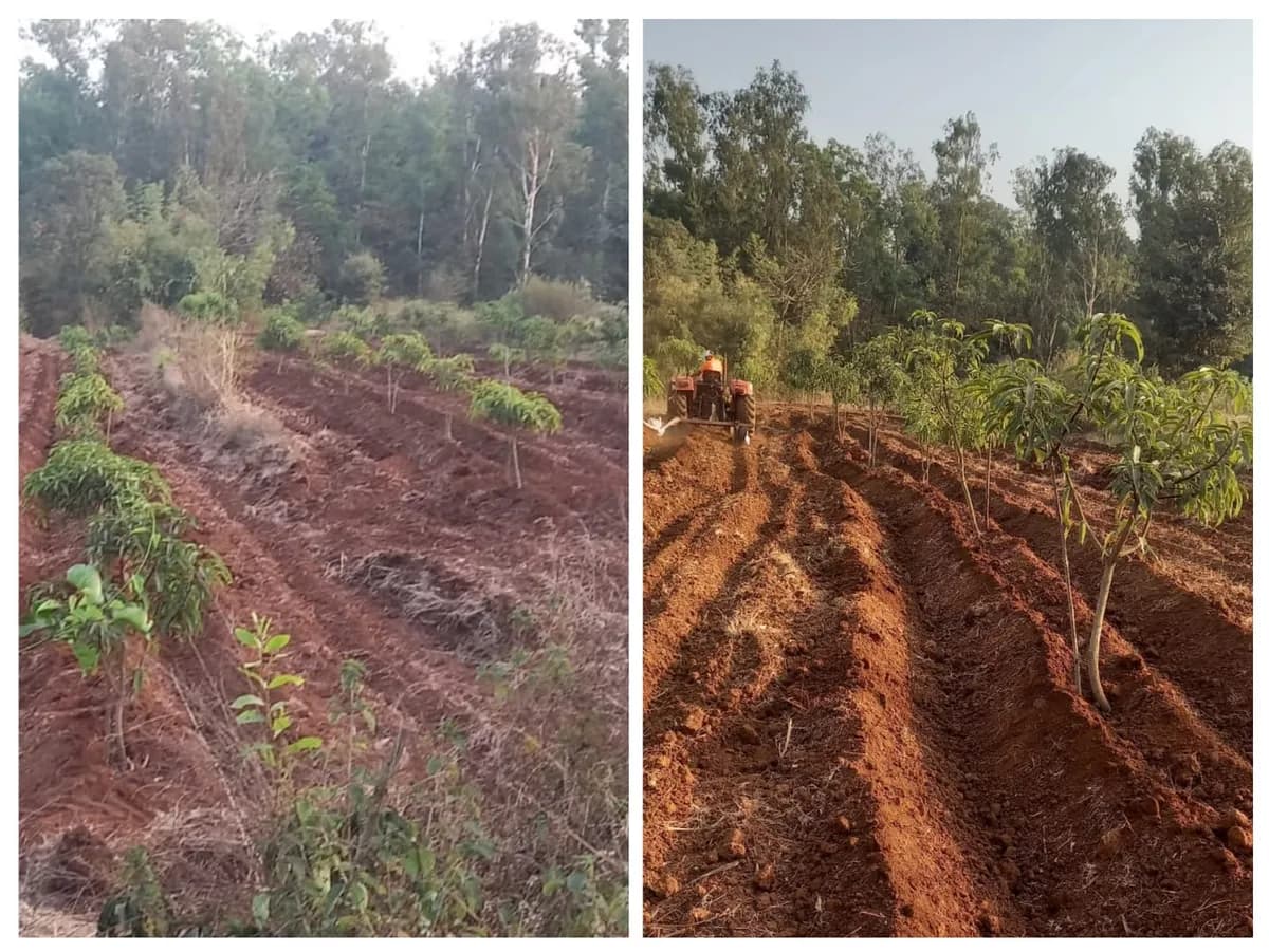 जमीन भाड्याने देणे आहे