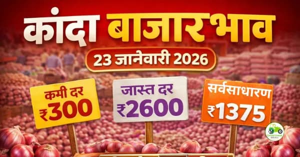 कांदा बाजारभाव 23 जानेवारी 2026 | आजचे दर, आवक आणि बाजार विश्लेषण