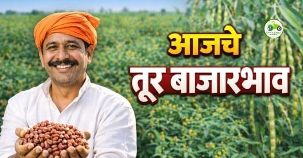 तूर बाजारभाव 26 जानेवारी 2026 | दौंड-पाटस, देवणी, जळकोट आजचे दर