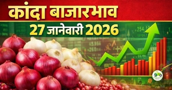 कांदा बाजारभाव 27 जानेवारी 2026 | आजचे ताजे कांदा दर महाराष्ट्र