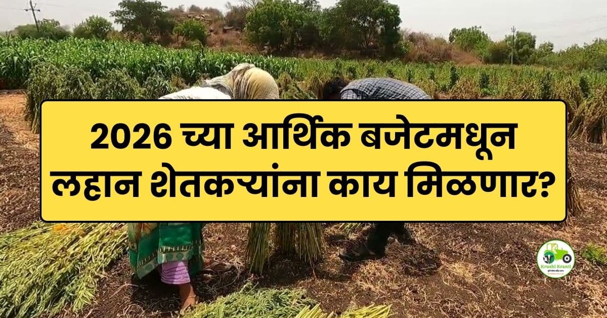 2026 च्या आर्थिक बजेटमधून लहान शेतकऱ्यांना काय मिळणार? | Budget 2026 Agriculture