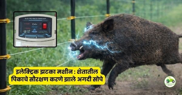 इलेक्ट्रिक झटका मशीन : शेतातील पिकाचे सौरक्षण करणे झाले अगदी सोपे